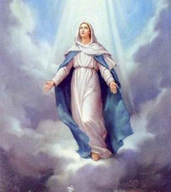 SOLEMNITY OF THE ASSUMPTION OF THE BLESSED VIRGIN MARY