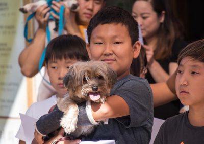 2016 Animal Blessing