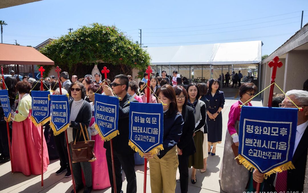 2025 아치에스  (Acies)